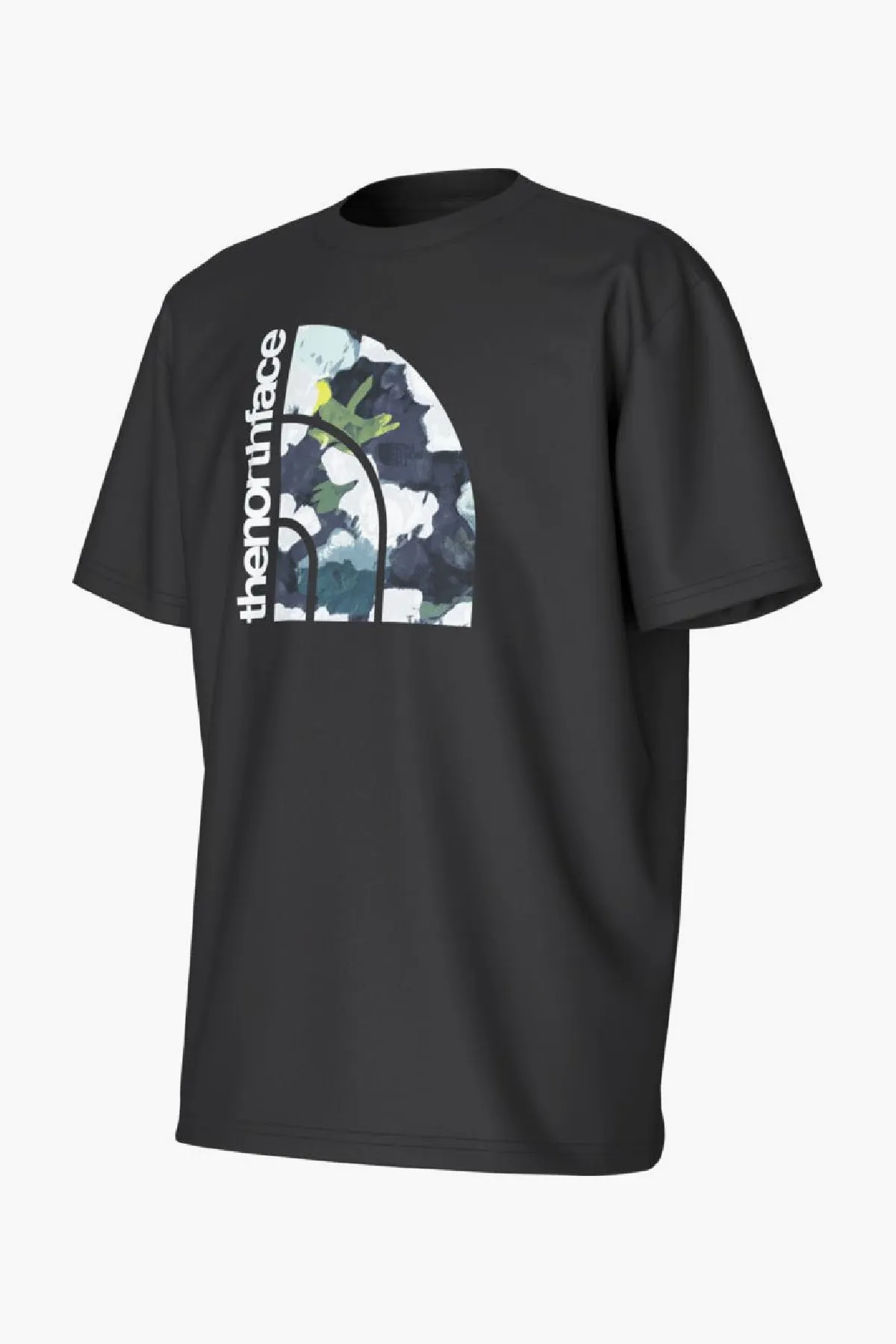 Boys T-Shirt North Face Logo T-Shirt