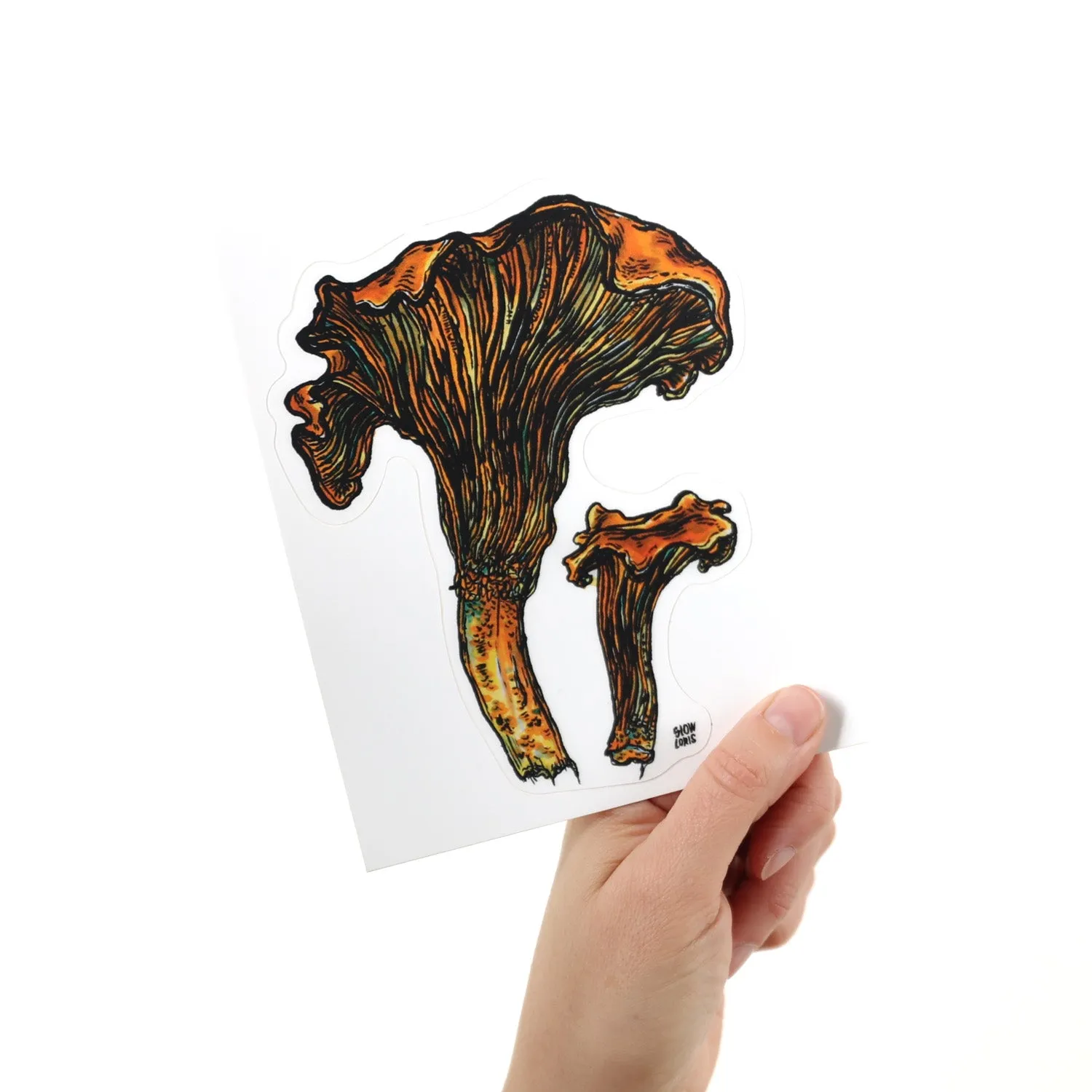 Chanterelle Mushrooms Sticker