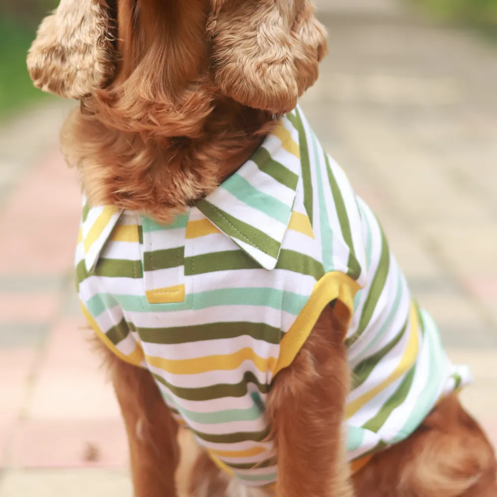 Multi-colour Striped Dog Polo Tee