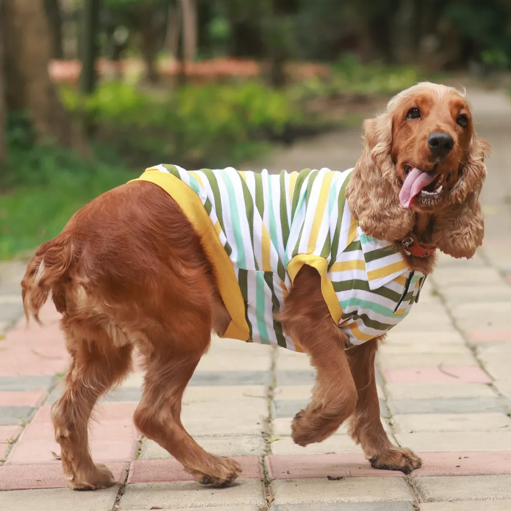 Multi-colour Striped Dog Polo Tee