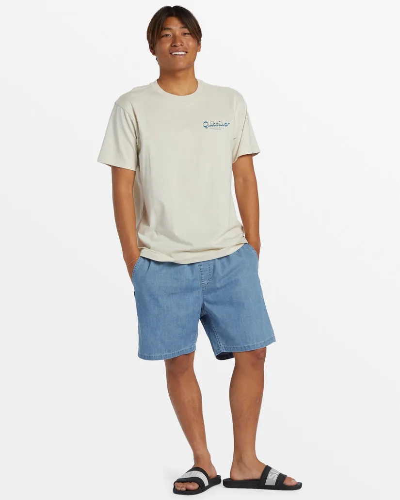 Quiksilver Island Mode L/S Tee-Silver Birch